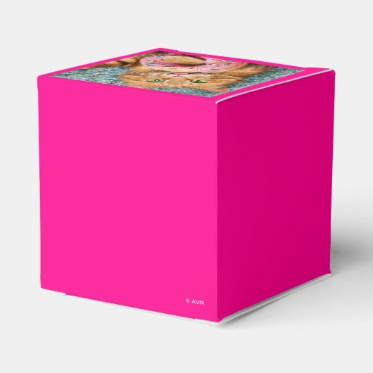 Kat Eating Donut Bedankdoosjes (Achterkant)