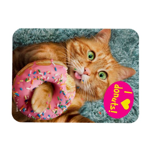 Kat Eating Donut Magneet (Horizontaal)