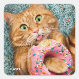 Kat Eating Donut Vierkante Sticker