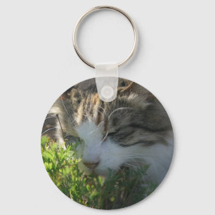 Kat Een Plant smelten Sleutelhanger