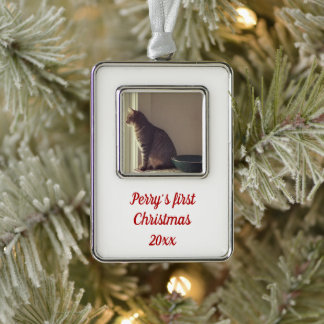 Kat Eerste Kerstmis Verzilverd Kader Ornament