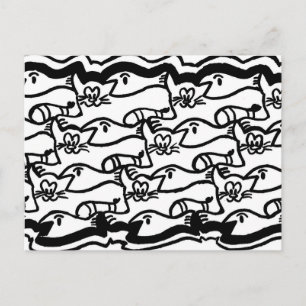 Kat en Briefkaart van Bord met grote viskleuren