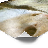 Kat- en geitenvrienden foto afdruk (Hoek)