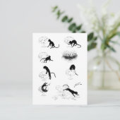 Kat en goudvis, Alexandre Steinlen Briefkaart (Staand voorkant)