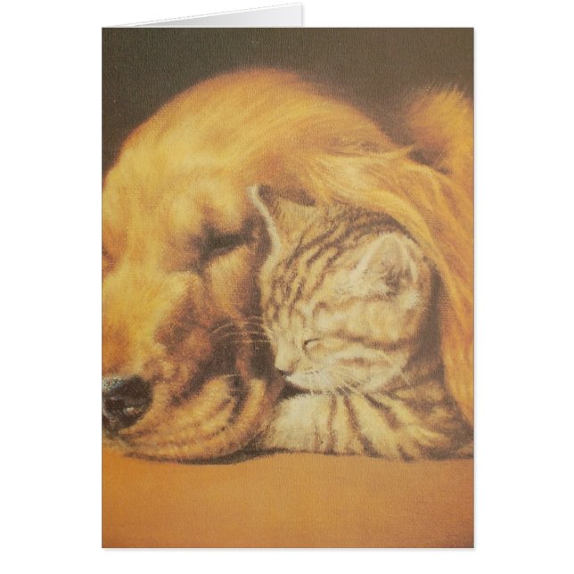 Kat en hond (Voorkant)