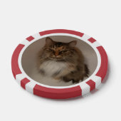 Kat en hond poker chips (Enkel)