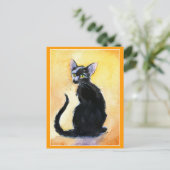 Kat- en kattenpoten briefkaart (Staand voorkant)