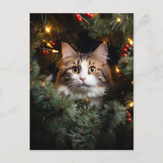 Kat en Kerstboom Briefkaart (Voorkant)