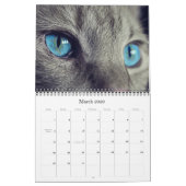 Kat en keukenkalender 2018 kalender (Mar 2026)