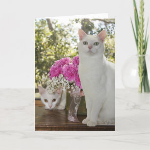 kat en kitten Moederdag Kaart