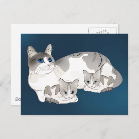 Kat en kittens briefkaart (Voorkant / Achterkant)