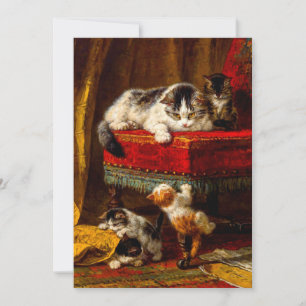 Kat en Kittens spelen met voorzitter Kaart