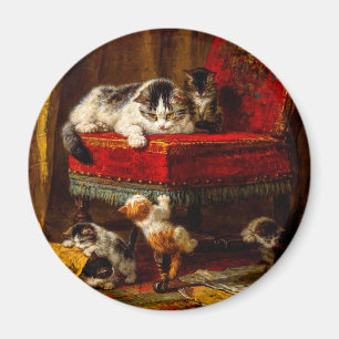 Kat en Kittens spelen met voorzitter Magneet