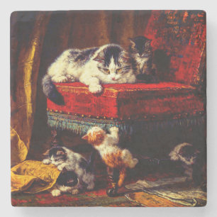 Kat en Kittens spelen met voorzitter Stenen Onderzetter