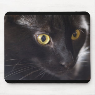 Kat en muis muismat