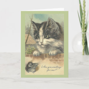 Kat- en muisbriefkaart Kaart