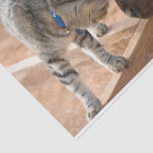 Kat- en paardenvrienden tissuepapier (Detail)