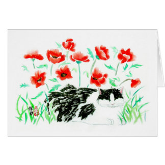 Kat- en papaver-kaart