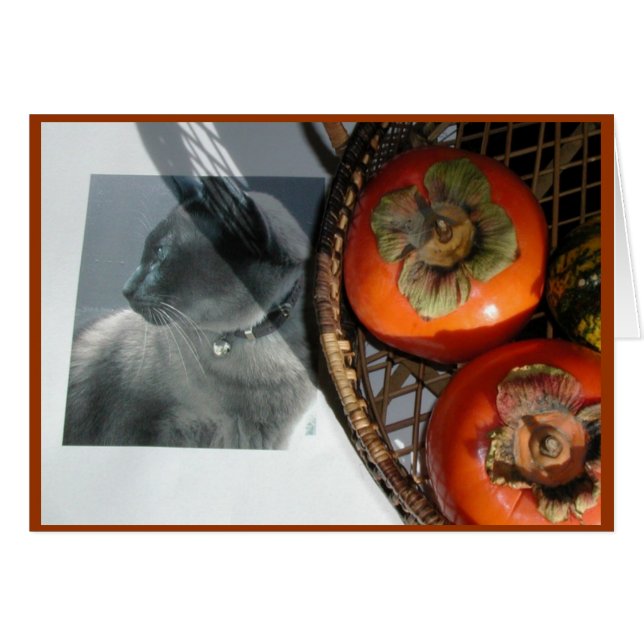 Kat en persimmons (Voorkant Horizontaal)