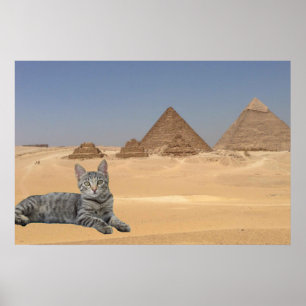 Kat en Piramide. Poster