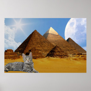 Kat en piramide. poster