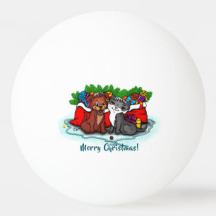 Kat en puppy, Happy XMas Pingpongballen