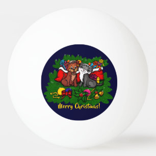 Kat en puppy, Happy XMas Pingpongballen