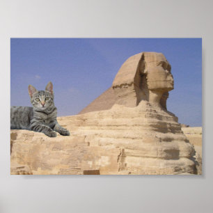 Kat en Sfinx. Poster