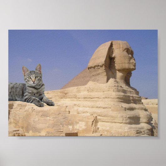 Kat en Sfinx. Poster (Voorkant)