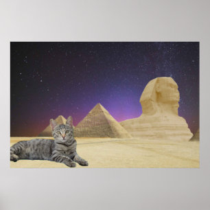 Kat en Sfinx. Poster