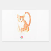 Kat en Speelgoed Inpakpapier Vel (Voorkant 2)