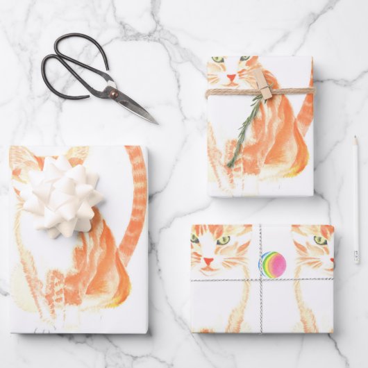 Kat en Speelgoed Inpakpapier Vel (Voorkant)