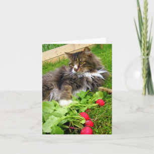 Kat en Tuin Radijs / Notecard Kaart