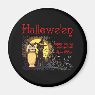 Kat en Uil Magnet Magneet