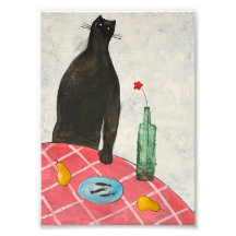 Kat en vis