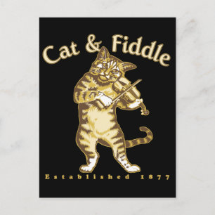 Kat en vuil briefkaart