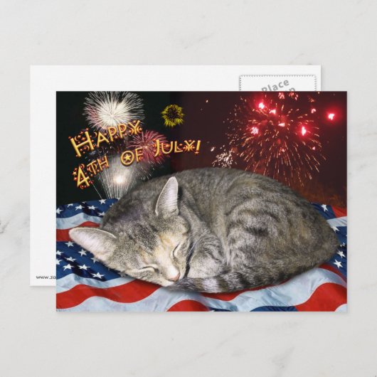 Kat en vuurwerk van 4 juli briefkaart (Voorkant / Achterkant)