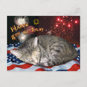 Kat en vuurwerk van 4 juli briefkaart