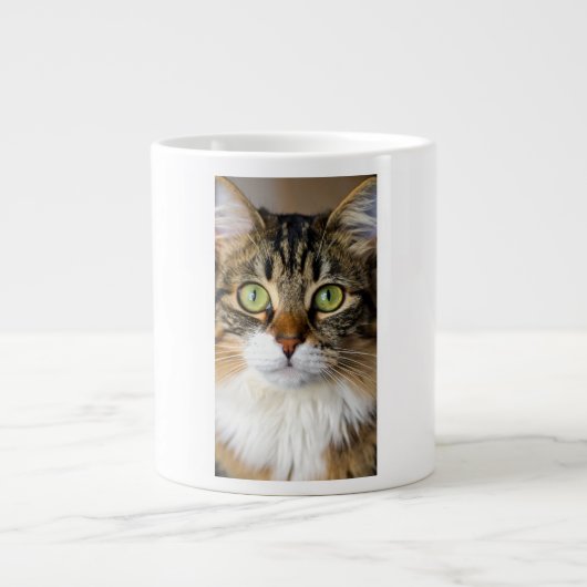kat extra grote beker (Voorkant)