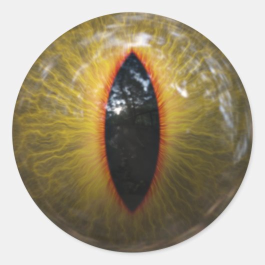 Kat Eye Ronde Sticker (Voorkant)
