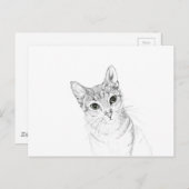 Kat Eyes A potlood Tekening Briefkaart (Voorkant / Achterkant)
