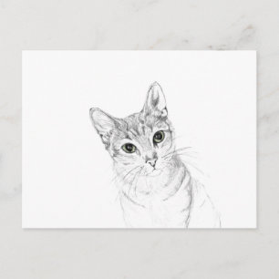 Kat Eyes A potlood Tekening Briefkaart