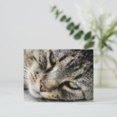 Kat Face Briefkaart (Staand voorkant)