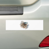 Kat Face - Kat Eyes Bumpersticker (Op auto)
