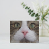Kat Face op Briefkaart (Staand voorkant)