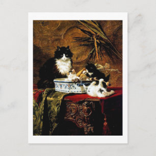 Kat Family, Henriëtte Ronner-Knip Briefkaart