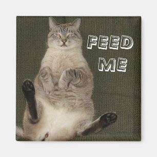 Kat "FEED ME" Square Magnet Magneet