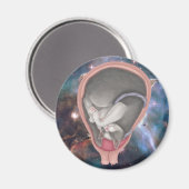 Kat Fetus Magneet (Voorkant / Achterkant)