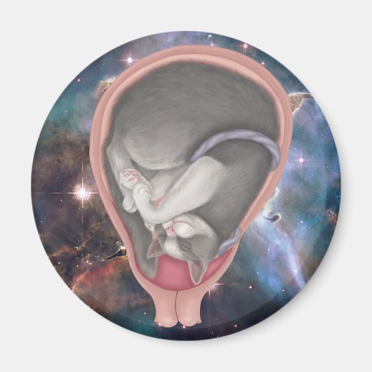 Kat Fetus Magneet (Voorkant)
