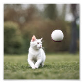 Kat Foto Afdruk (Voorkant)